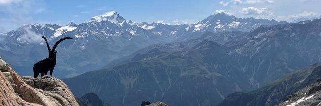 Témoignage Accueil 4