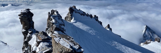 Témoignage Accueil 2