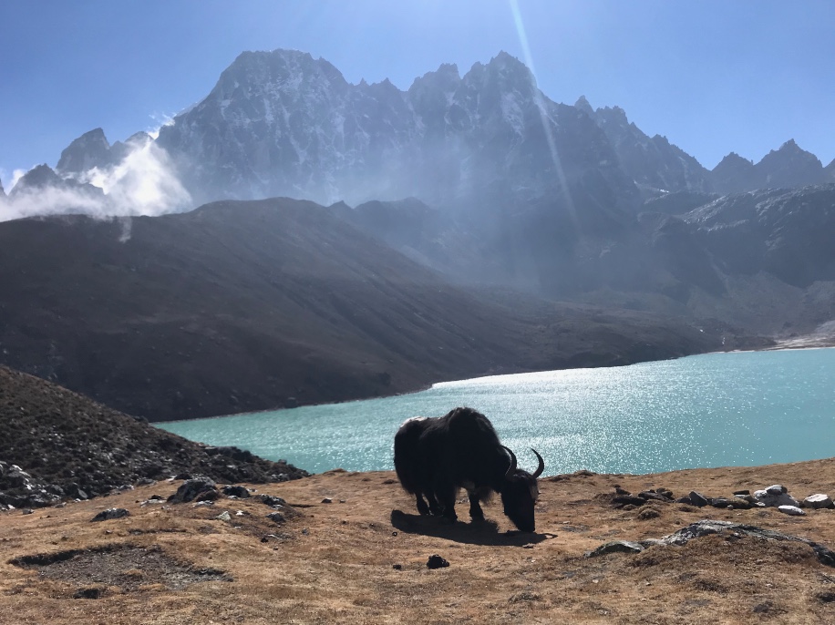 Séjour trail au Népal : le camp de base de l'Everest 6